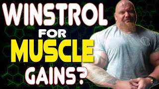 Stanozolol : Best Off Season Oral? Drugs n Stuff Pod