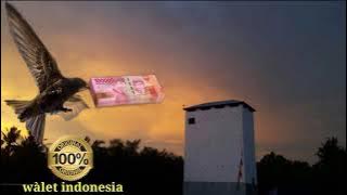SUARA PANGGIL WALET DUNIA INDONESIA