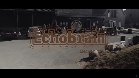 0% Talk 100% Tones - Echobrain Analog Delay