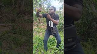 funny Bird video #bird #funnyvideo #shorts