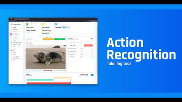 [app] Action Recognition Labeling Tool