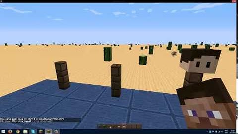 Minecraft Custom Heads with command blocks 1.7.9