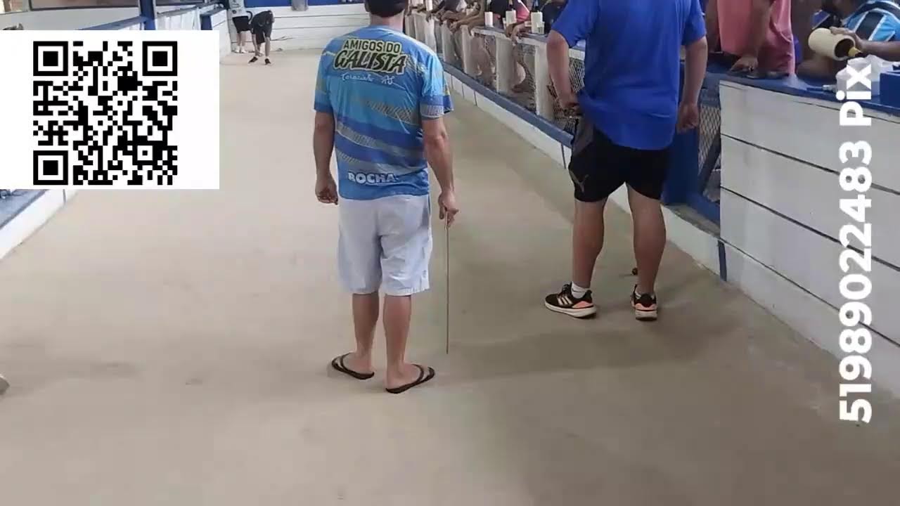 Transmissão ao vivo de Raulzito Amantes da Bocha