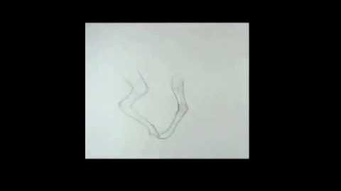 Animation II - Quadruped Walk Cycle