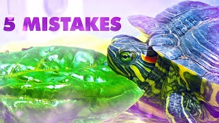 5 Mistakes Taking care of a Turtle  RED EARED SLIDER