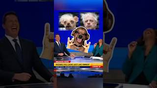 Missing Dog Looked Exactly Like Its Owner 😳 #shorts #funny