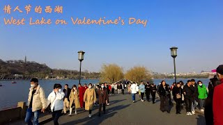 坐WE1314浪漫巴士看情人节的西湖 疫情后第一个情人节 | Post-COVID-19 Valentine's Day | Cupid Bus | West Lake | Hangzhou