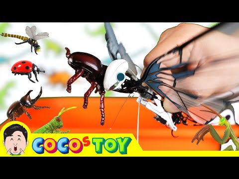Catching insects in various ways like an <strong>insect</strong> drone!｜raising insects, insects name｜CoCosToy
