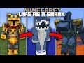 Minecraft LIFE AS A SHARK MOD / FIGHT AND BECOME AQUATIC GIANT BEAST!! Minecraft