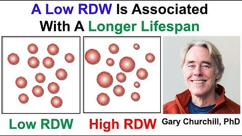 A Low RDW Is Associated With A Longer Lifespan (Clip)