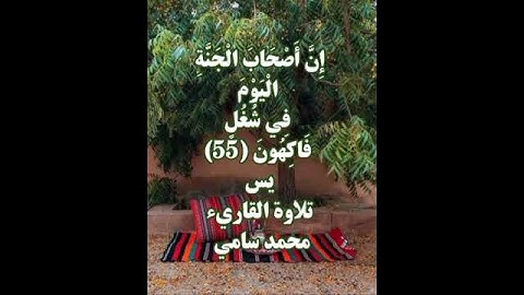 إِنَّ أَصْحَابَ الْجَنَّةِ الْيَوْمَ فِي شُغُلٍ فَاكِهُونَ (55) سورة #يس