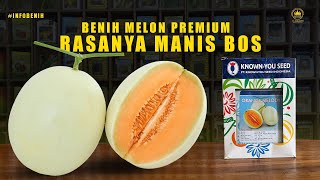 Beautiful melon from Known You Seed | Orders can be made by contacting us | 081229133863