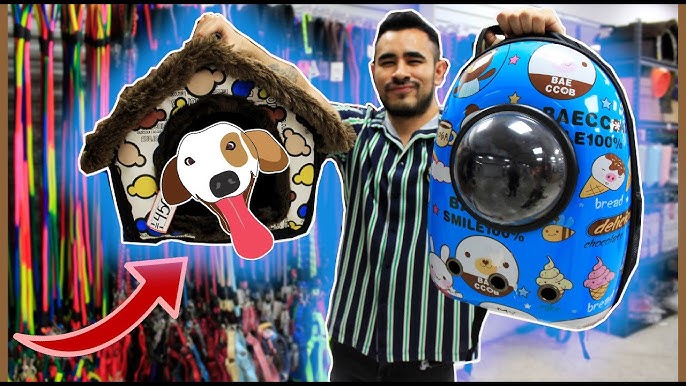 Cómo poner una tienda de accesorios para mascotas