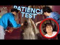 My Patience Test