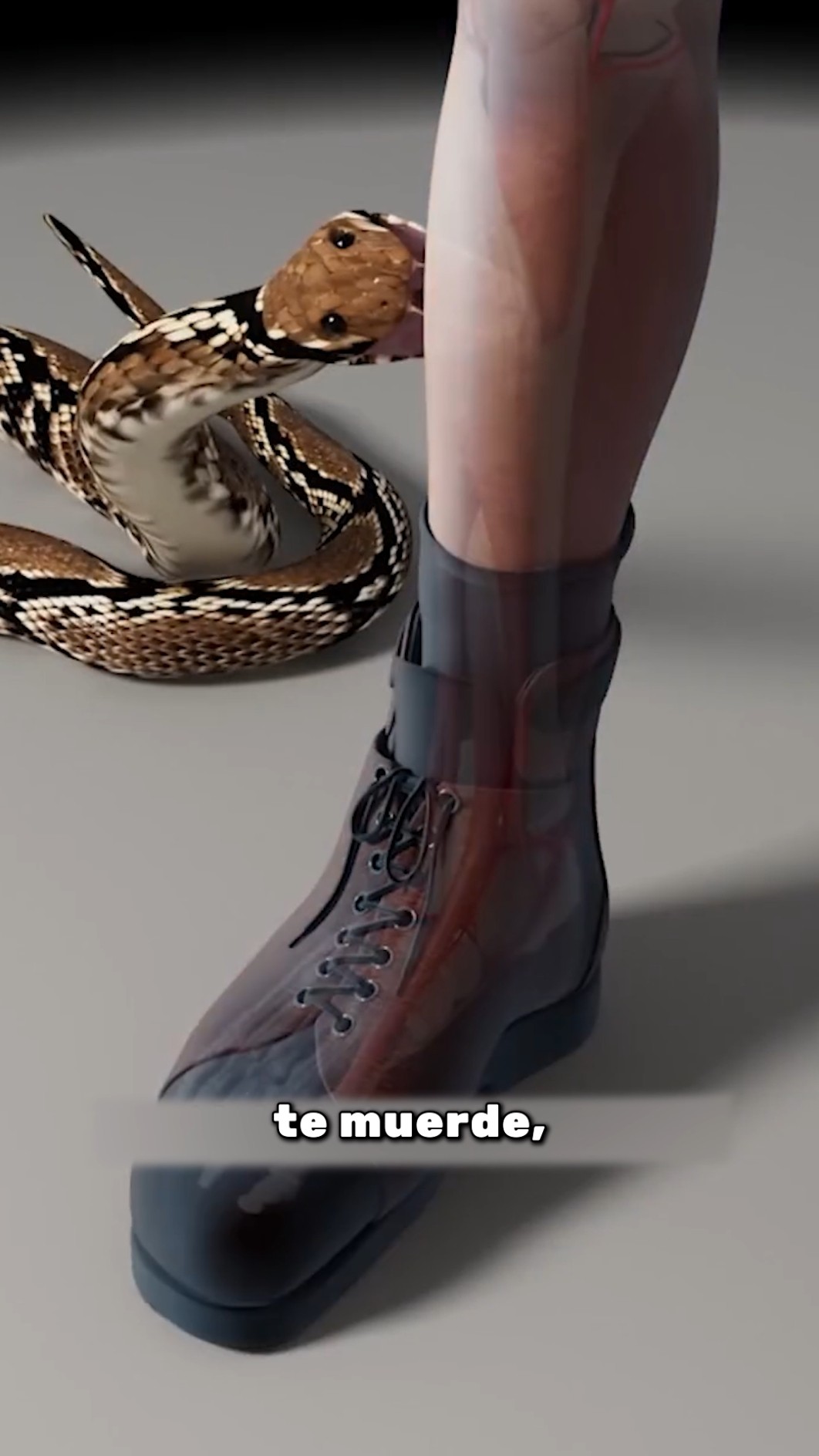 El error FATAL tras una mordida de serpiente ??