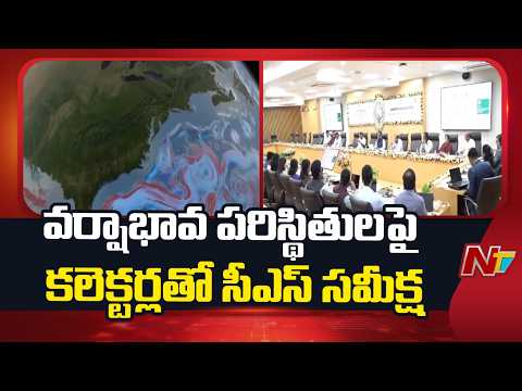 AP Chief Secretary Sai Prasad Held Review With Collectors Over El-Nino Effect | NTV Telugu - NTVTELUGU