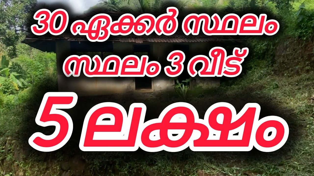 30 ഏക്കർ സ്ഥലം 3 വീട് ഏക്കർ 5 ലക്ഷം#vairal #kerala#housenlands#keralaproperty #keralarealestate