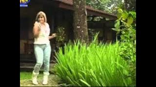 KUCING BELANG-VOC,NUNUNG ALVI