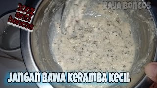 Umpan putih harian ikan mas | Raja Boncos
