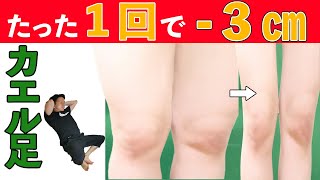 【カエル足】みるみる足が細くなる！太もも・内もも全部痩せ！