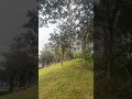 深圳