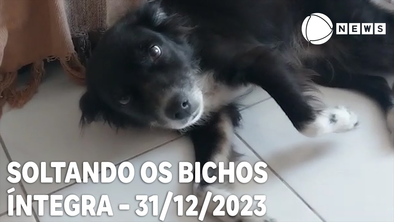 Soltando os Bichos – 31/12/2023