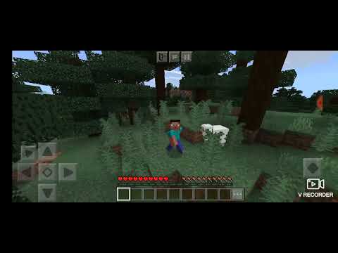 დაალაიქეთ ვიდეო და გამოიწერე არხი