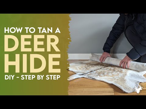 How to tan a deer hide/skin (start to finish)