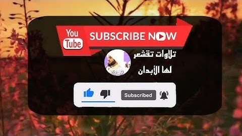 حالات واتس اب قرآن كريم ادريس ابكر تلاوة غاية في الجمال
