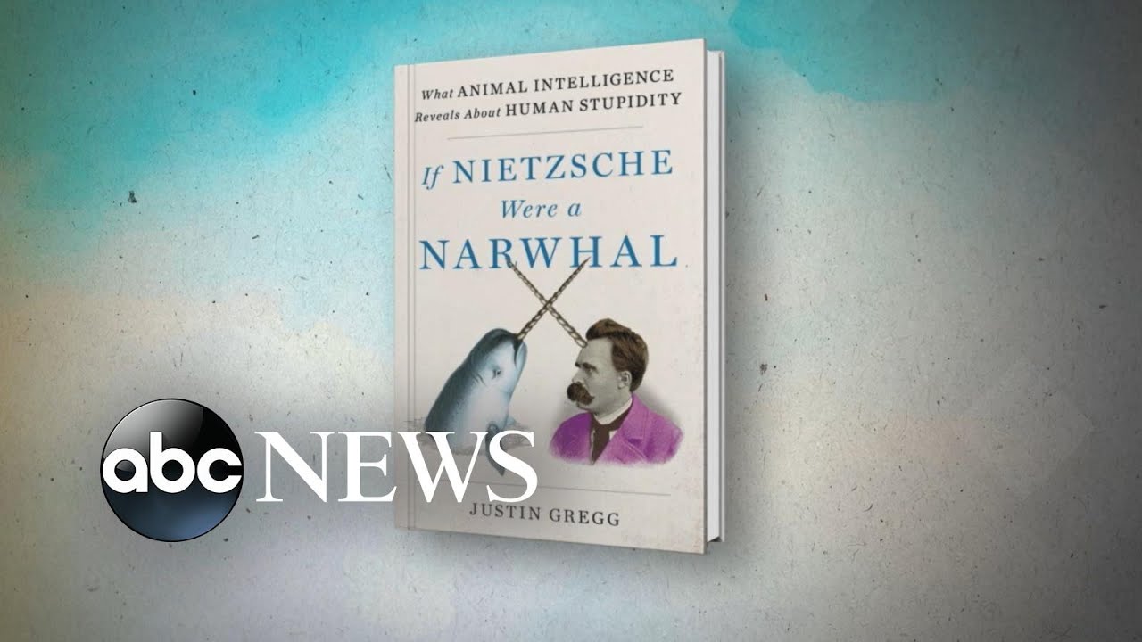 Professor Justin Gregg on why human intelligence isn't seen elsewhere