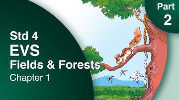 Class 4 EVS Fields and Forests Part 2