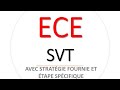 Ece svt 2024 avec stratgie fournie