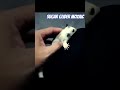 hewan peliharaan eksotis karena jinak dan lucu. #pets #reels #dailyvlog #sorts #sugargliderlover