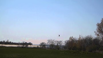 trex 550 dfc: My first dfc experience