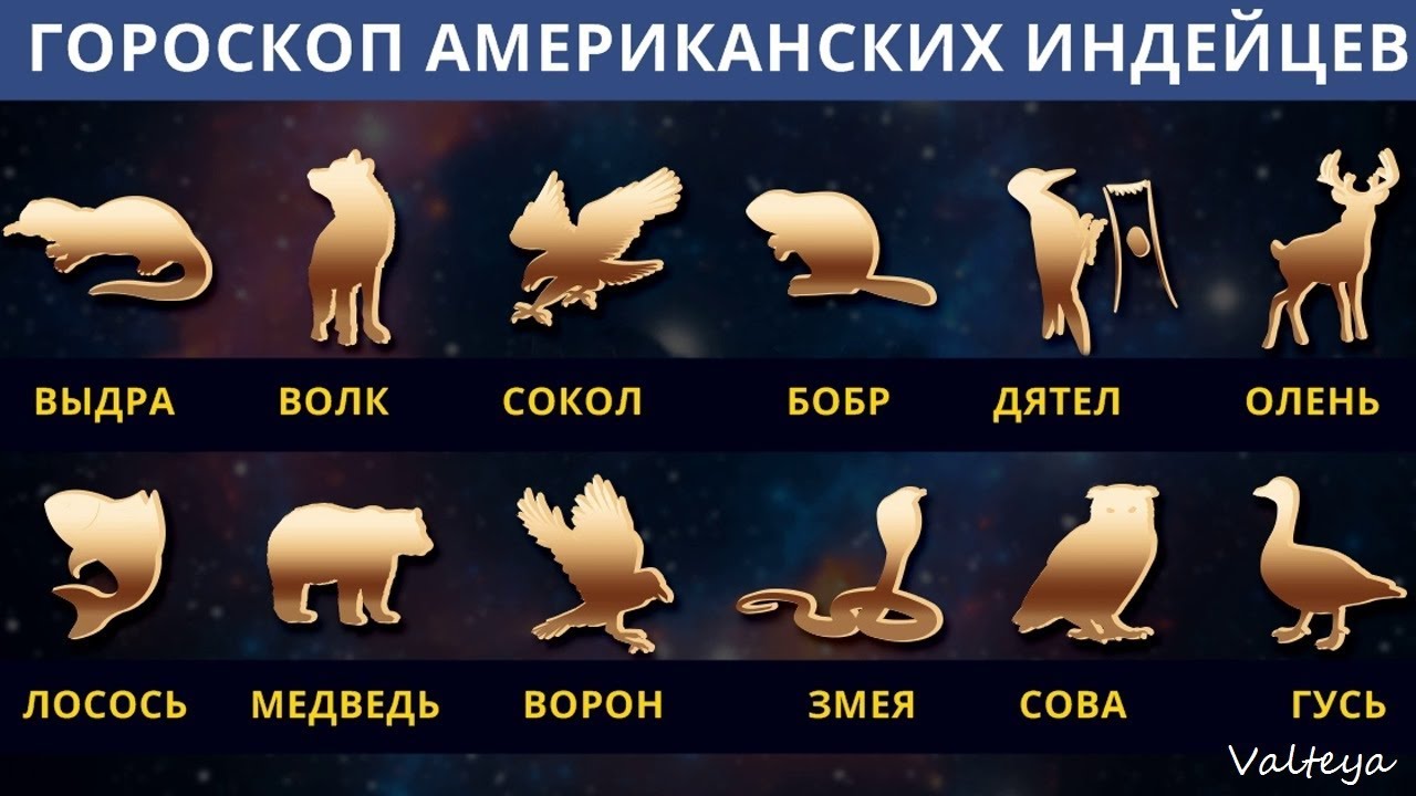 Знаки зодиака как животные