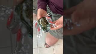 #largefrog’s forever friend #resincreation #froggie #fypviral #viralreels #videoshorts #shorts #fyp