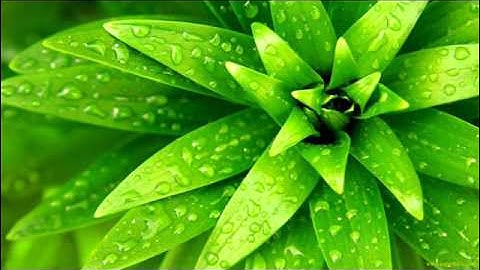 سورة الرحمن للقارىء ابراهيم الجبرين .. Surat Arrahman