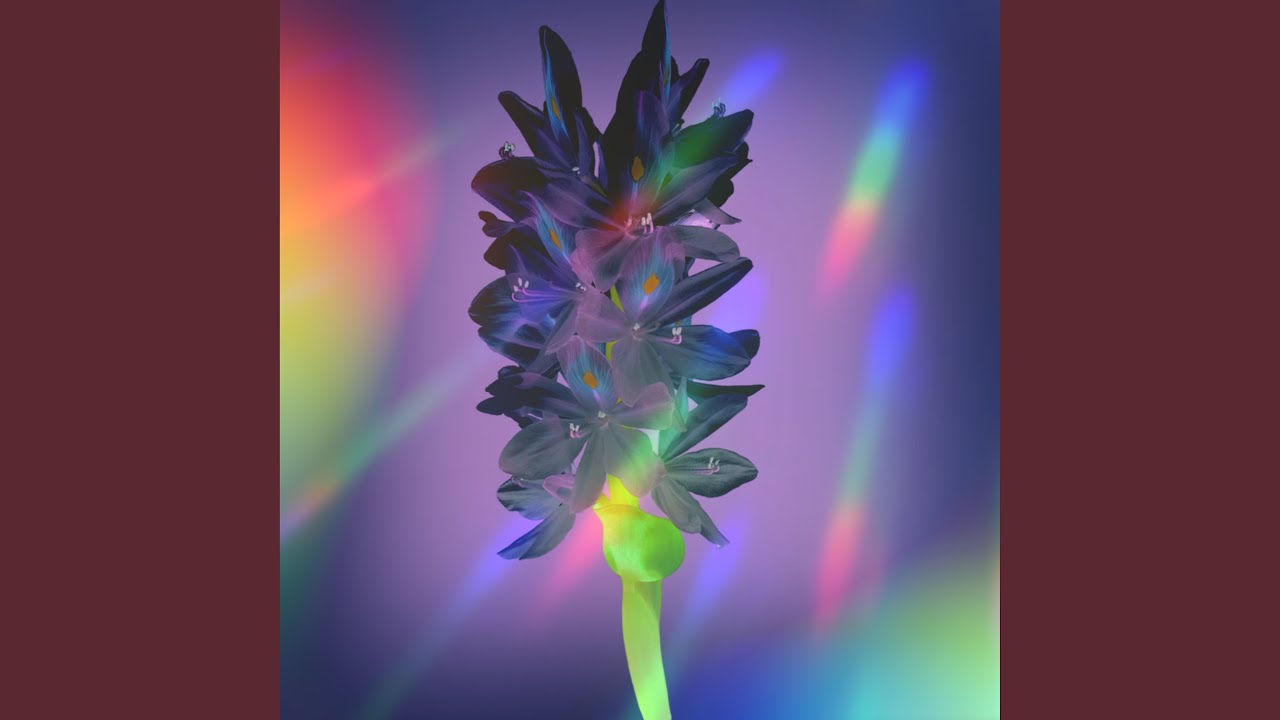 Hit Me Back (2022 Remastered Version) YouTube