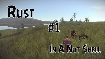 Rust #1 - In A Nut Shell