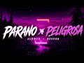 PARANO X PELIGROSA Slowed Reverb Deep Mood 