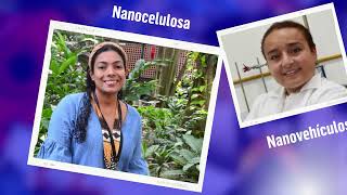Línea de tiempo Programa NanoBioCáncer