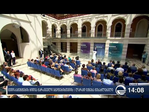 ქრონიკა 14:00 საათზე - 6 აგვისტო, 2019 წელი