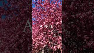 April recap 🌸🌳🌿 #april #spring