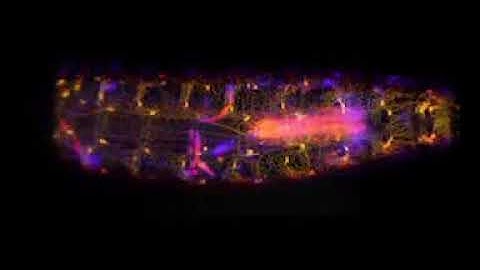 High speed 3D SCAPE Microscope Captures Fruit Fly Brain Cells in Action