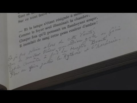 Video: ¿Dónde están los baudelaire reales?