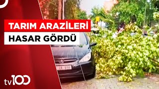 Ağaçlar Devrildi Çatılar Uçtu | Tv100 Haber Resimi