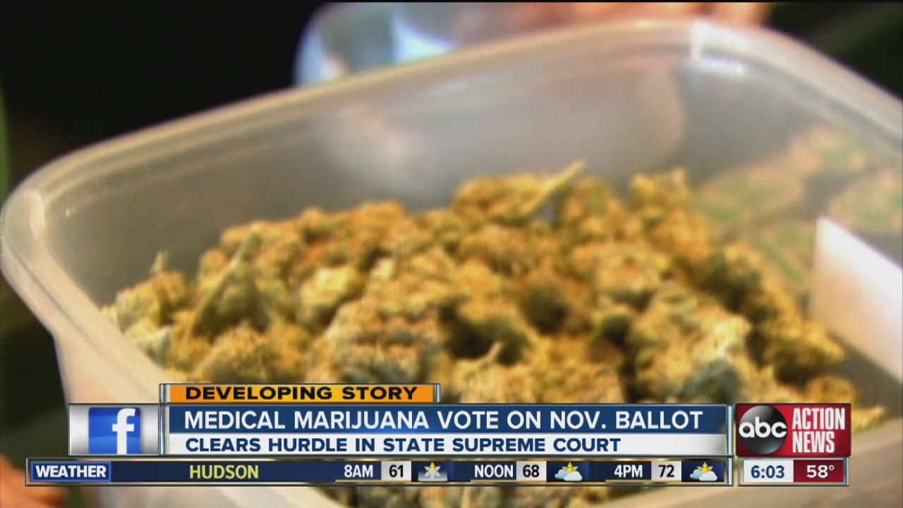 Florida Supreme Court approves medical marijuana initiative for ...