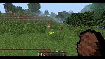 Minecraft 1.2.5 + SP Commands + Download = Fun