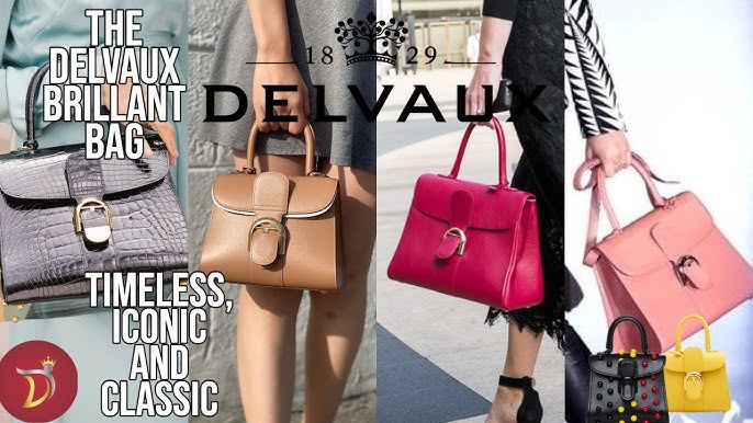 Delvaux Brillant Bag Honest Review (Updated)