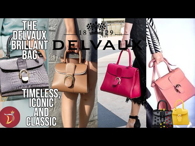 The DELVAUX BRILLANT LUXURY BAG Overview (Everything You Need To Know) 